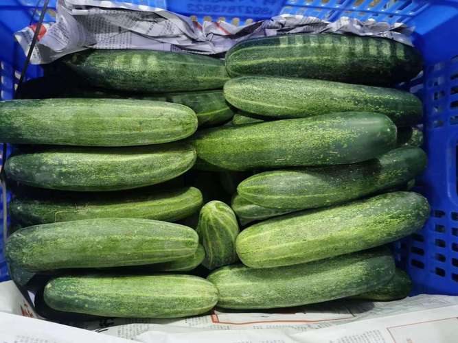 长安乌沙工厂蔬菜配送——东莞市联旺膳食管理服务产品数量与城市配送解构